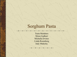 Sorghum Pasta - Rutgers Food Science