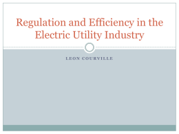 Regulation and Efficiency in the Electric Utility Industry