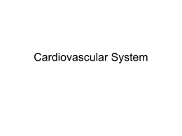 Cardiovascular System - Byron Senior High School
