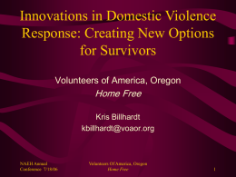 Innovations in Domestic Violence Response: Creating New