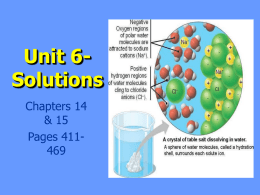 Unit 6- Solutions