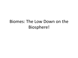 Biomes: The Low Down on the Biosphere!