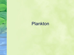 Plankton - Somers Public School District