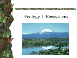 Ecology 1: Ecosystems