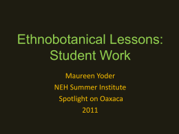 Ethnobotanical Lessons: Student Work