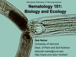 Document 2: Nematode Biology and Ecology Slides