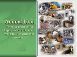 Animal Unit - S2TEM Centers SC