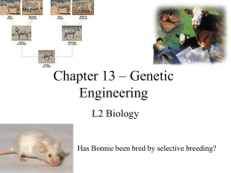 Chapter 13 – Genetic Engineering