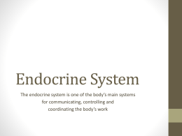 Endocrine System - Bellefonte Area School District