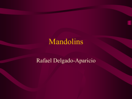 Mandolins - Markham College
