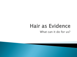 Hair as Evidence