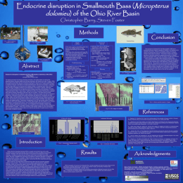Endocrine disruption in Smallmouth Bass (Micropterus dolomieu)
