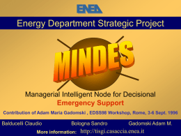Managerial Intelligent Node for Decisional Emergency Support