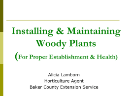 Installing & Maintaining Woody Plants