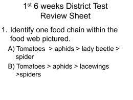1st 6 weeks District Test Review Sheet