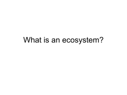 What is an ecosystem?