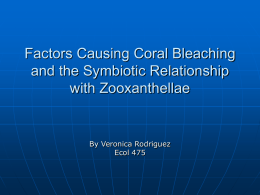 Factors Causing Coral Bleaching and the Symbiotic