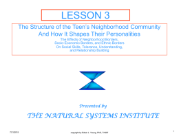 The Structure of the Teen's Neighborhood Community