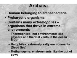 Archaea - Mr. Hester's Biology Class