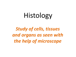Histology - King George's Medical University