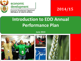 Report on the Annual Performance Plan 2013/4