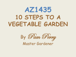10 STEPS TO A VEGETABLE GARDEN
