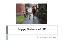 Puppy Raisers of UD