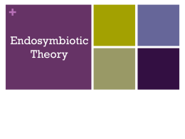 Notes - Endosymbiotic Theory