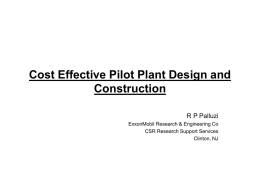 Cost Effective Pilot Plant Design and Construction