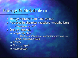 Energy & Metabolism - Hyndland Secondary School