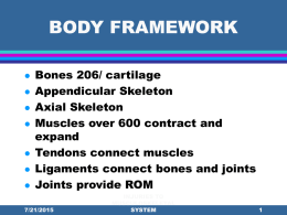 Injuries to Muscle, Bones & Joints