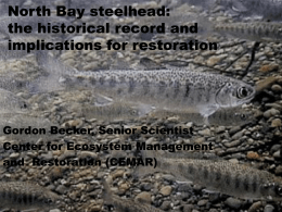 Steelhead in streams of the San Francisco Estuary and the