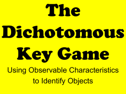 PowerPoint Dichotomous Key