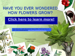 HAVE YOU EVER WONDERED HOW FLOWERS GROW?