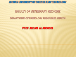 Jordan University of Science and Technology. Department of