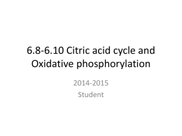 6.8-6.10 Citric acid cycle and Oxidative phosphorylation