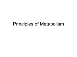 Principles of Metabolism - School of Biological Sciences