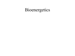 Bioenergetics - Eastern Michigan University