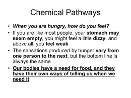 Chemical Pathways - Archbishop Ryan High School