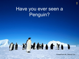 Have you ever seen a Penguin?