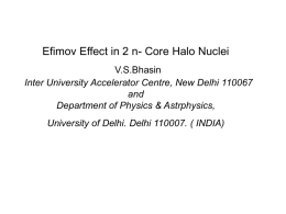 Efimov Effect in 2 n- Core Halo Nuclei V.S.Bhasin Inter