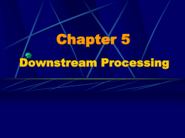 PowerPoint 演示文稿