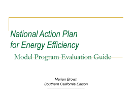 Development Process for the National Action Plan Energy