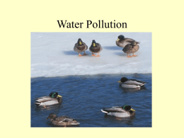 Water Pollution - University of Arizona