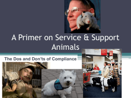 A Primer on Service & Support Animals