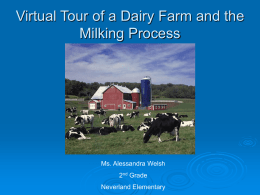 Virtual Tour of a Dairy Farm