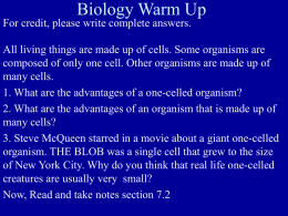 Biology Warm Up