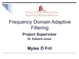 Frequency Domain Adaptive Filtering