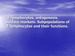 15. T-lymphocytes, ontogenesis, surface markers