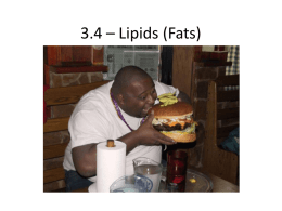 3.4 – Lipids (Fats)